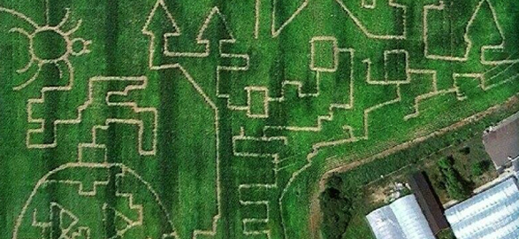 Cotant's Giant Corn Maze